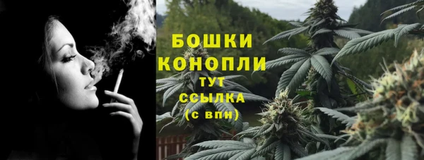spice Аркадак