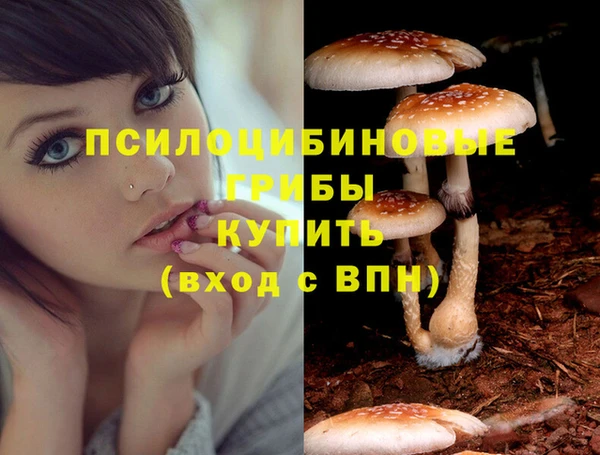 дживик Арсеньев
