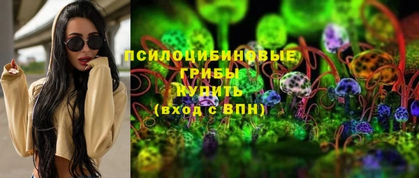 дживик Арсеньев