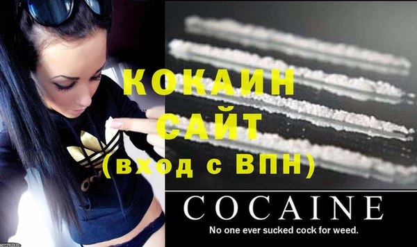 дживик Арсеньев